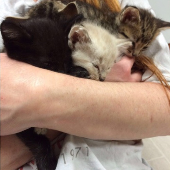 Christmas santa Mickey 23” motion Mickey Mouse vintage electronic - Picture 8 of 15